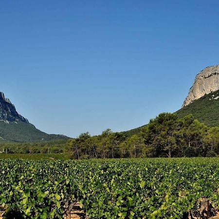 Gite Du Pic Saint Loup Valflaunes Eksteriør bilde