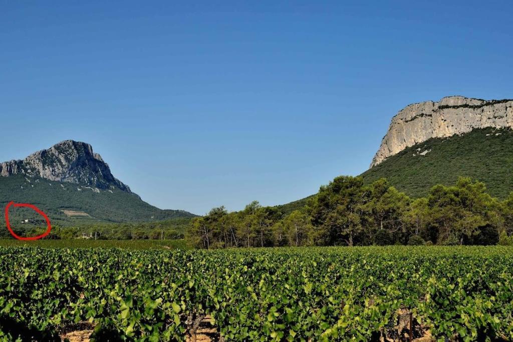 Gite Du Pic Saint Loup Valflaunes Eksteriør bilde